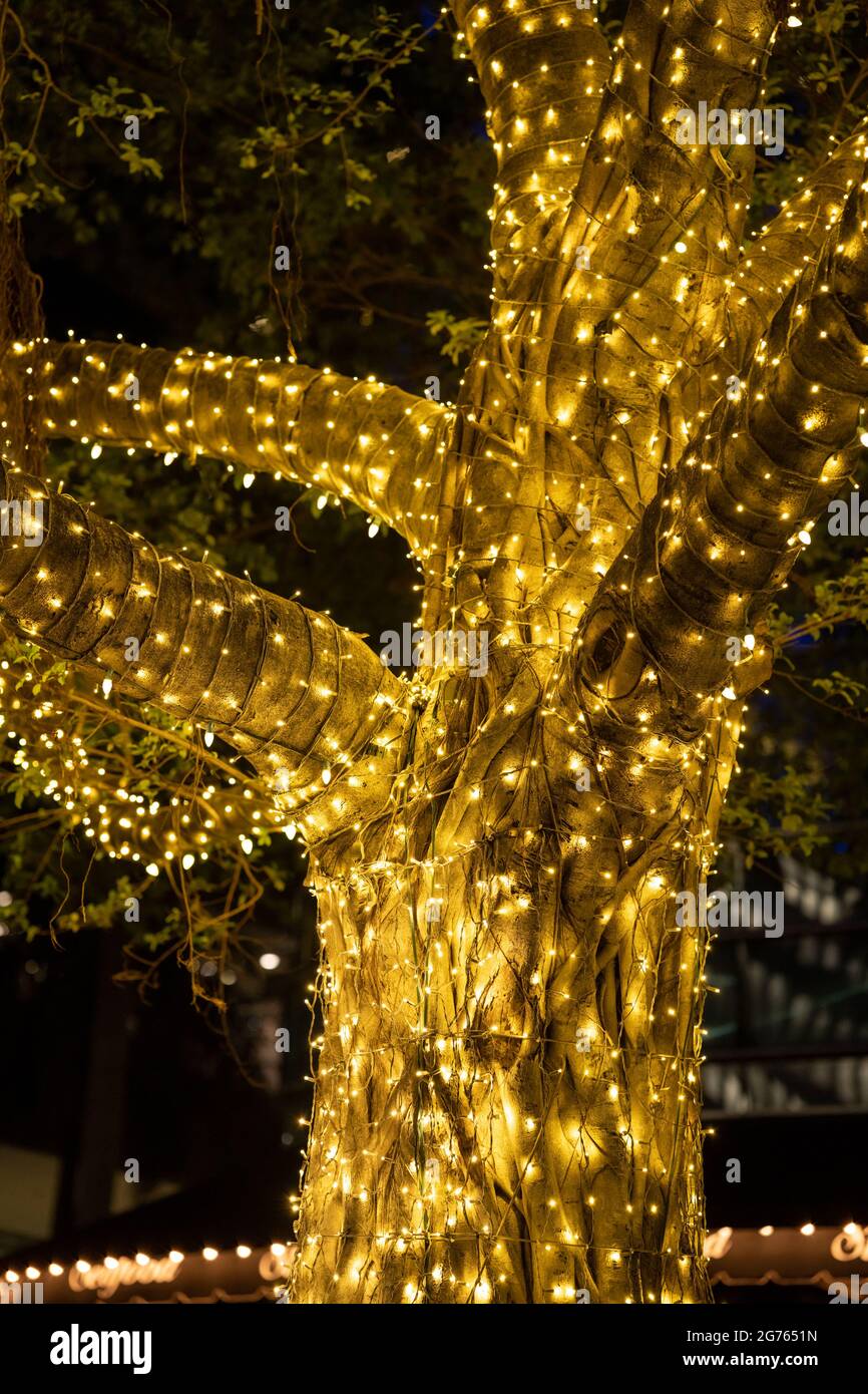 Albero illuminato con luci per le vacanze caldo bagliore Foto Stock