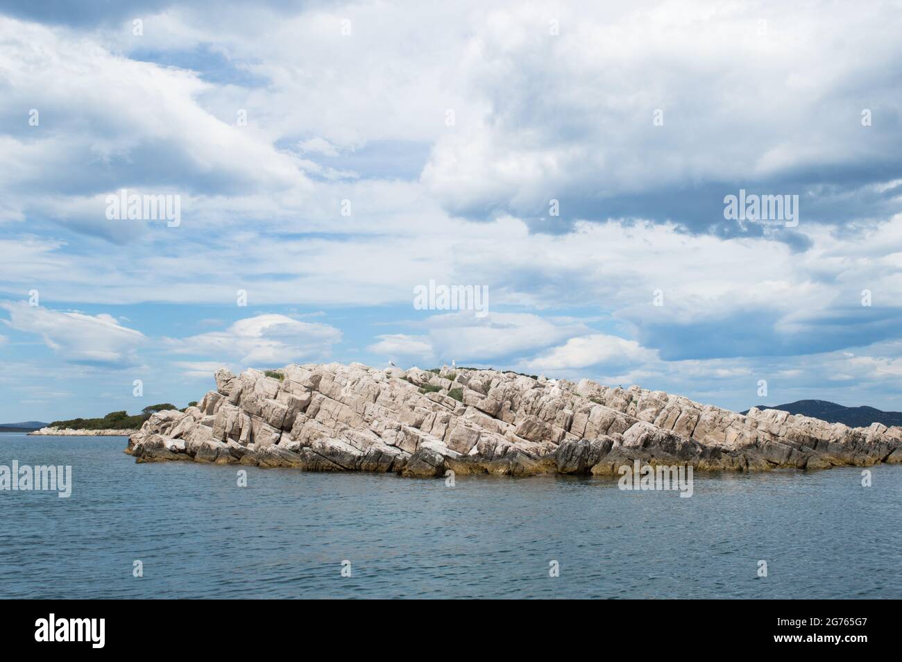 Piccolo isolotto roccioso isolato con gabbiani nel mare Adriatico, Croazia, Zara regione Foto Stock