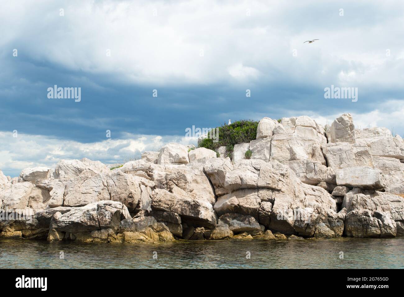 Piccolo isolotto roccioso isolato con gabbiani nel mare Adriatico, Croazia, Zara regione Foto Stock