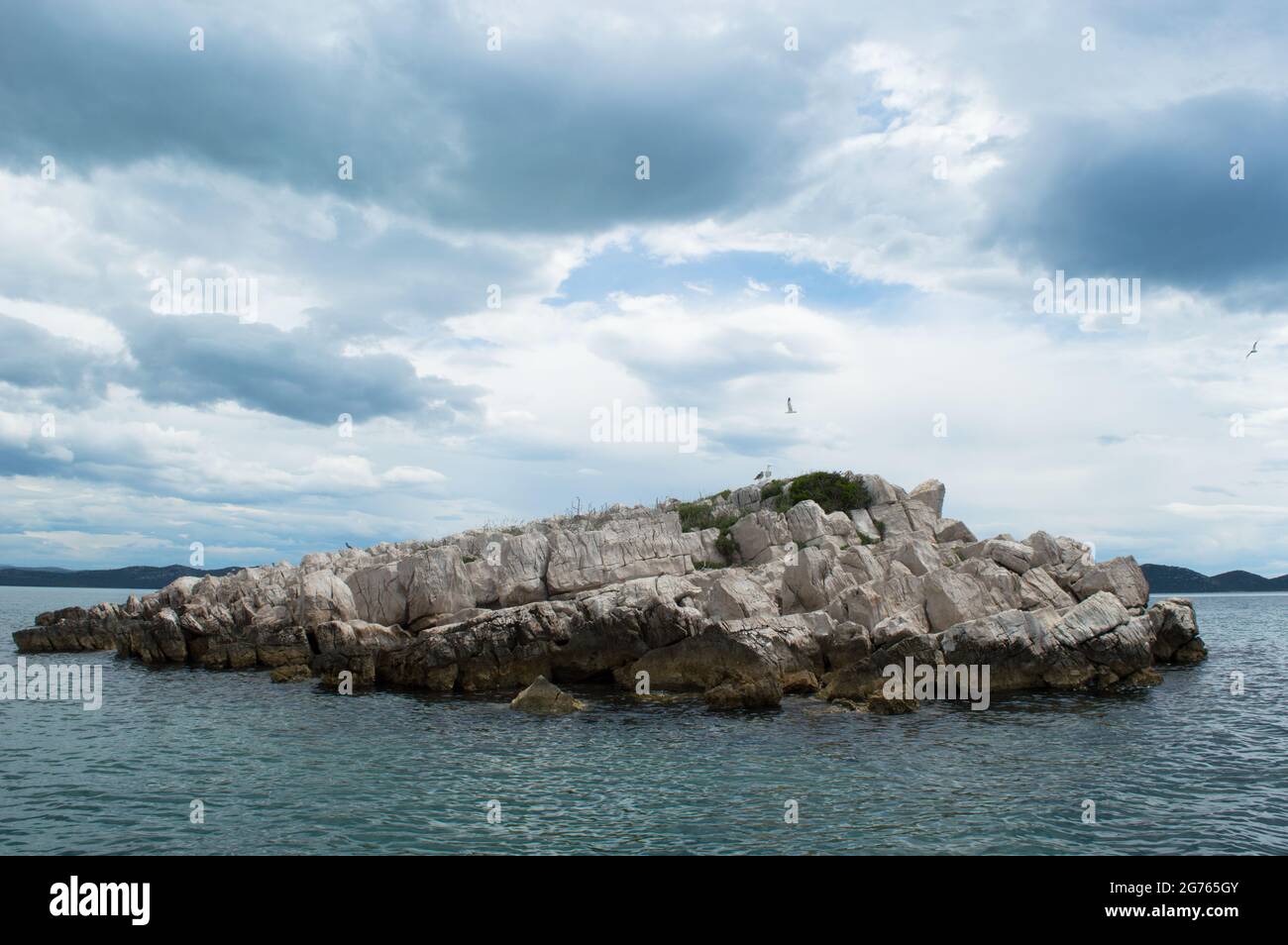 Piccolo isolotto roccioso isolato con gabbiani nel mare Adriatico, Croazia, Zara regione Foto Stock