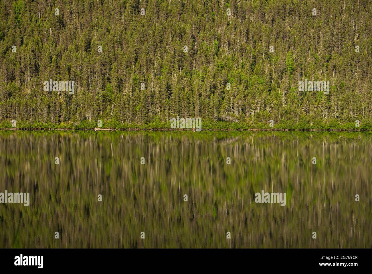 Un piccolo e remoto lago nel parco Gaspesie del Québec la mattina presto splende il riflesso della collina boscosa sopra di esso. Foto Stock