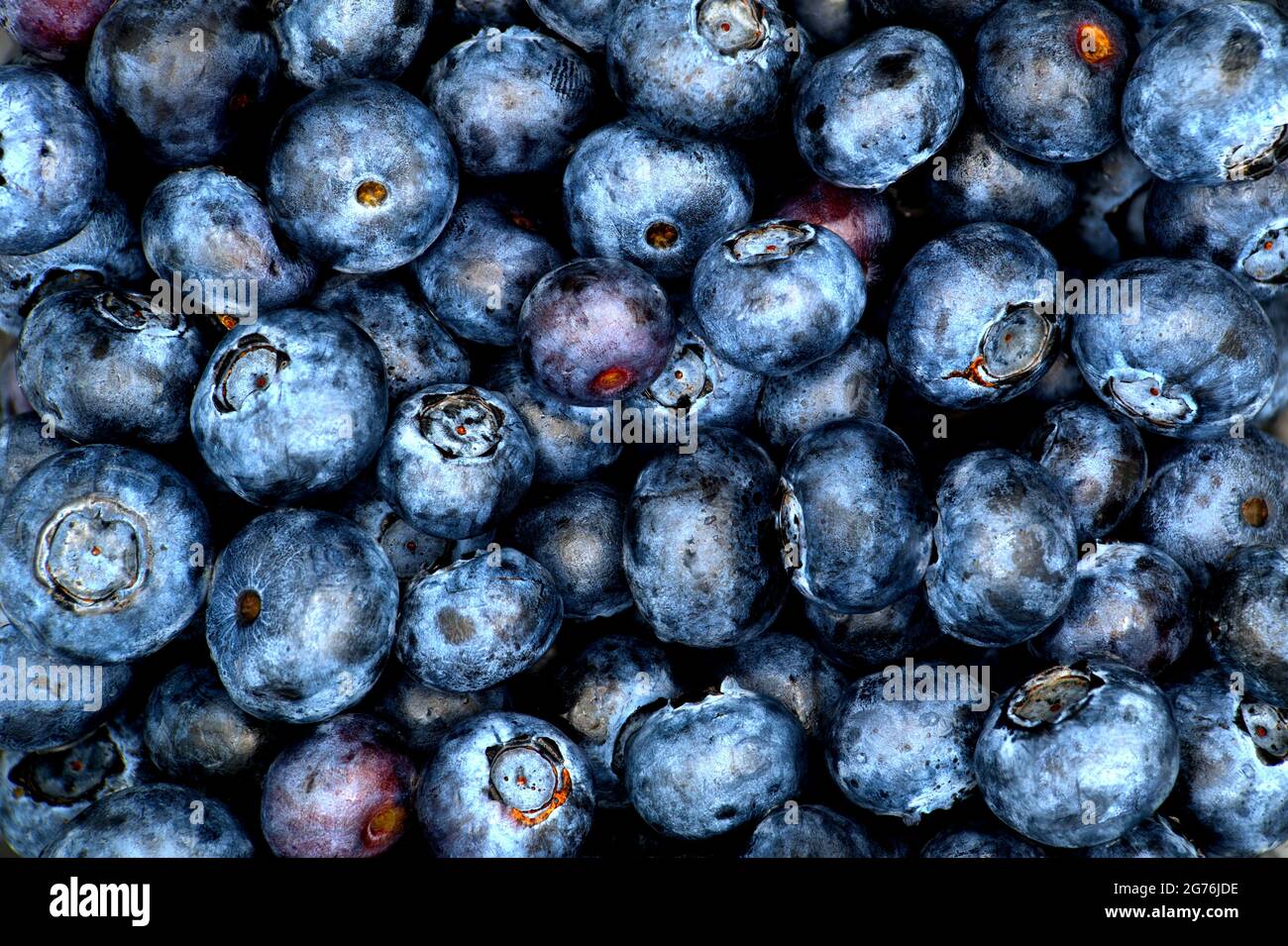 Un sacco di mirtilli freschi Foto Stock