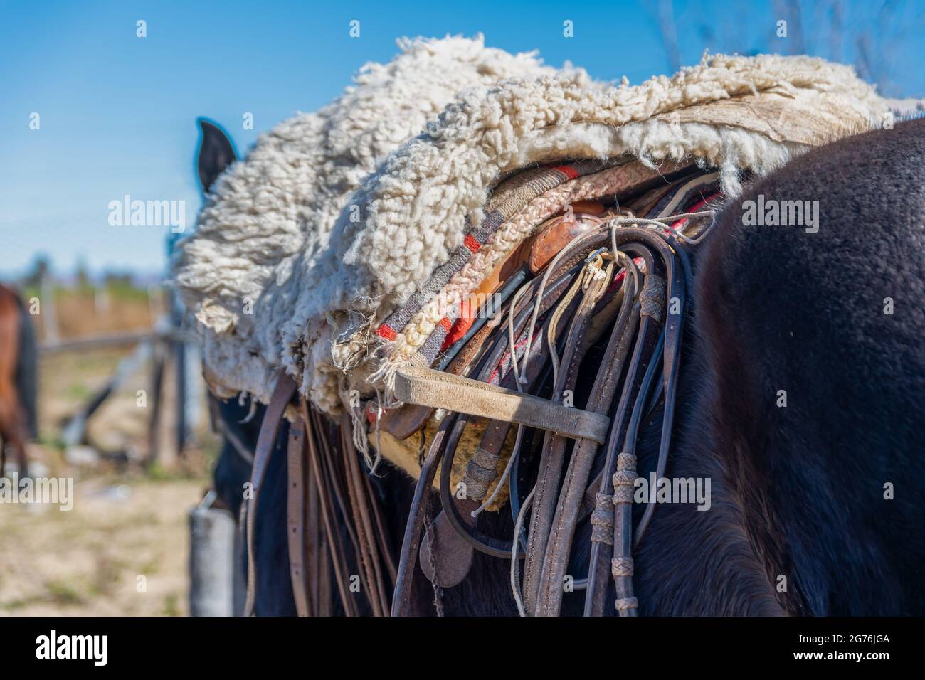 Una sella a cavallo in Patagonia, Argentina Foto Stock