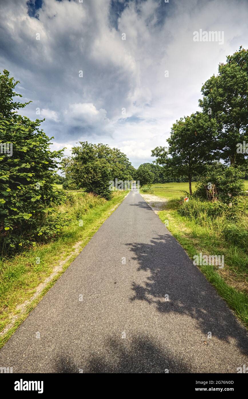 vista panoramica di una strada contro i campi Foto Stock