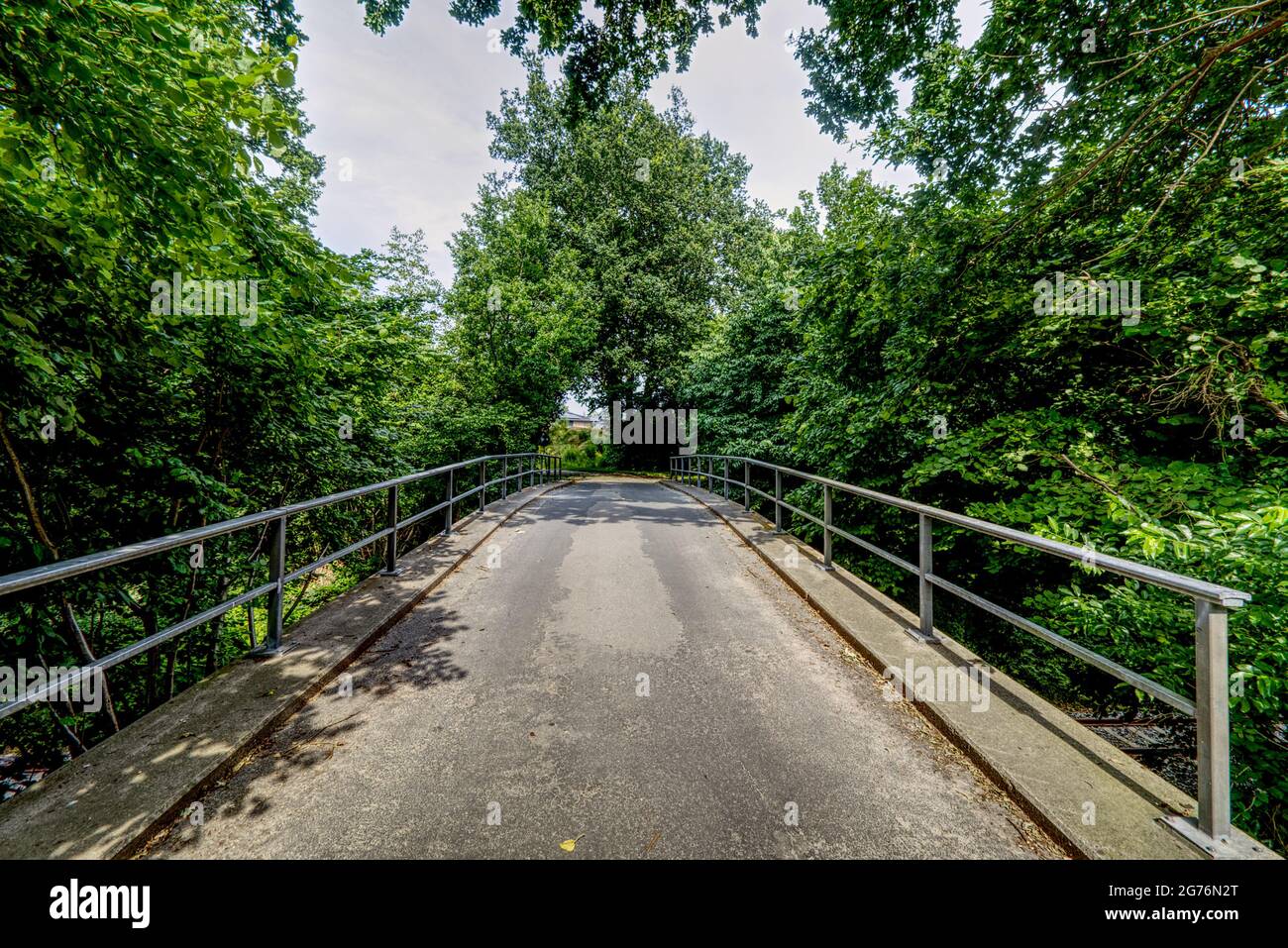 vista panoramica di un ponte nel bosco Foto Stock