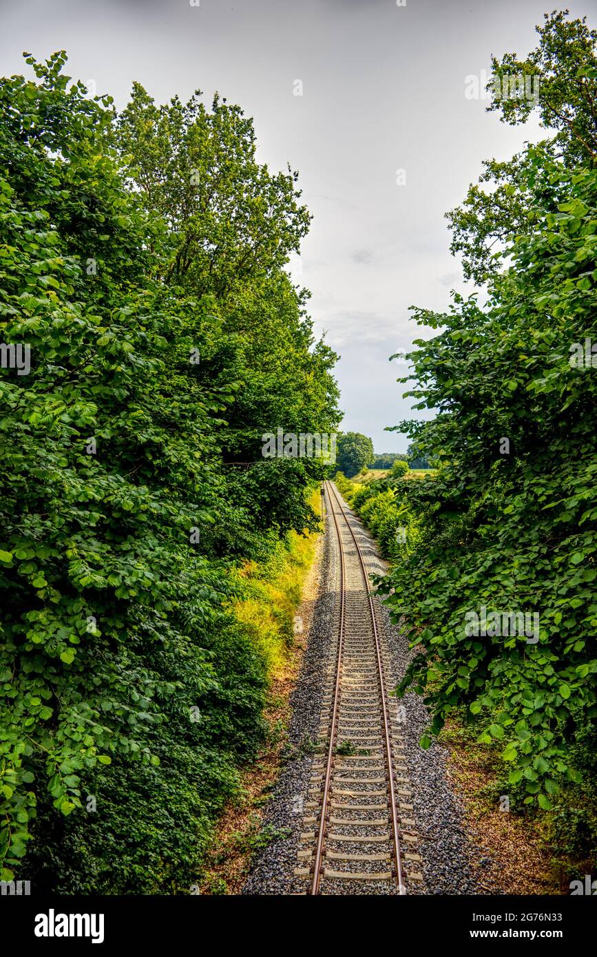 vista panoramica di una pista ferroviaria attraverso i boschi Foto Stock