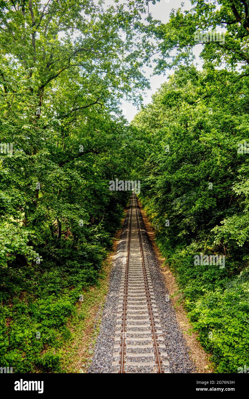 vista panoramica di una pista ferroviaria attraverso i boschi Foto Stock