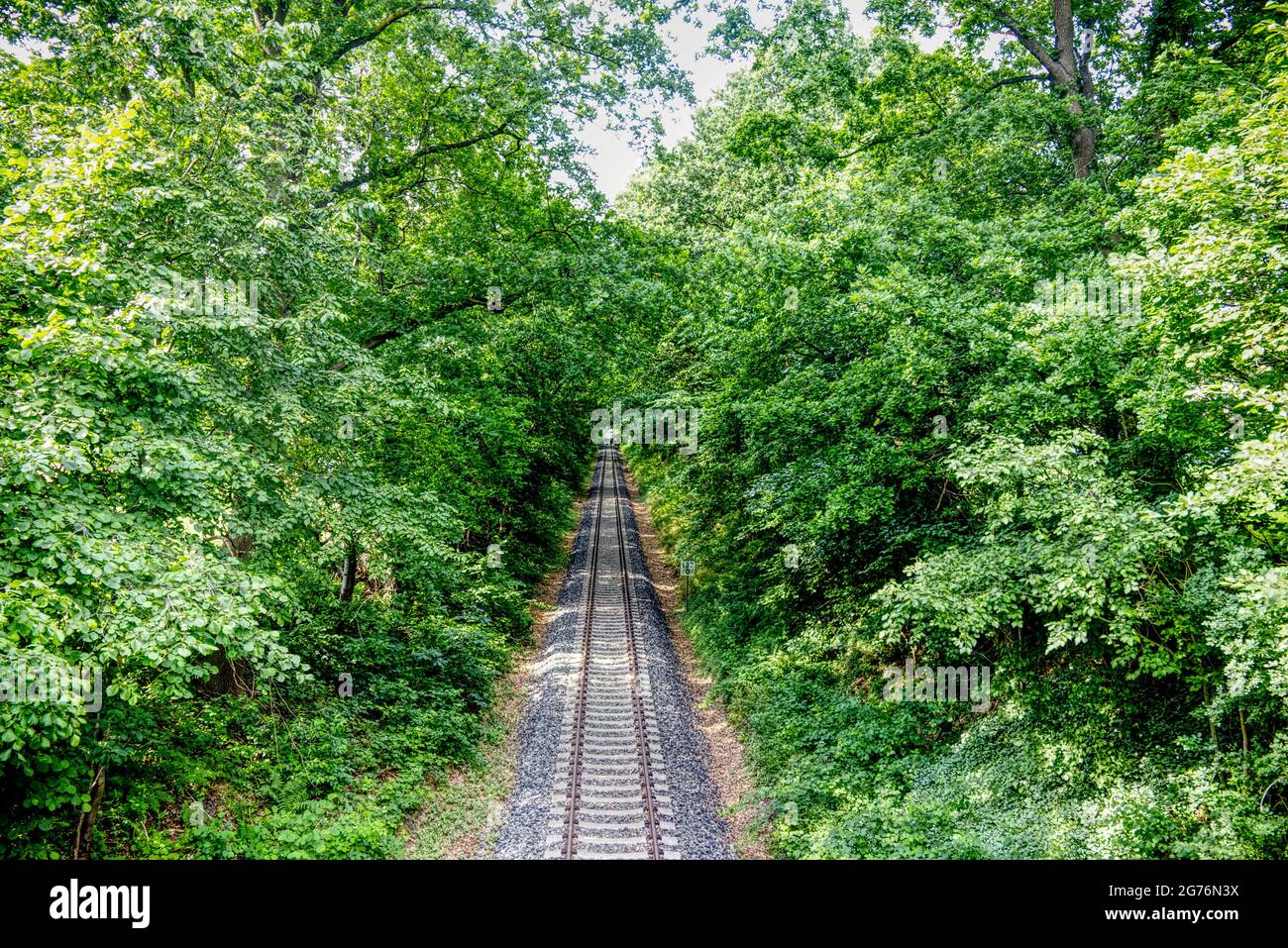 vista panoramica di una pista ferroviaria attraverso i boschi Foto Stock