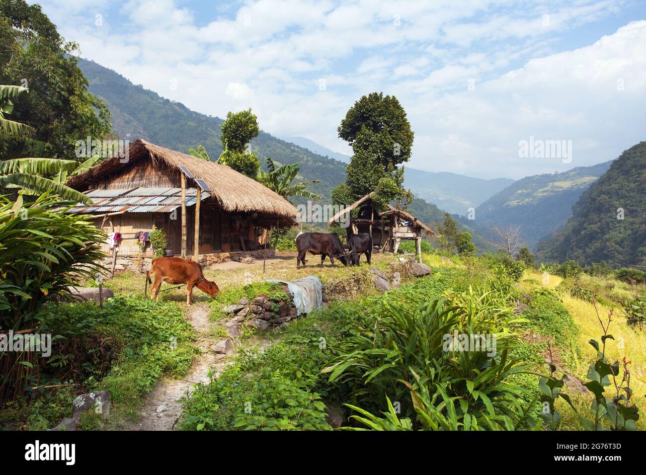 Bella casa in Nepal, valle Khumbu, Solukhumbu, Nepal Himalaya Foto Stock