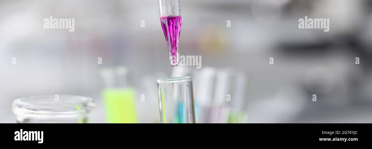 Il liquido viola viene lasciato cadere dalla pipetta nella provetta Foto Stock