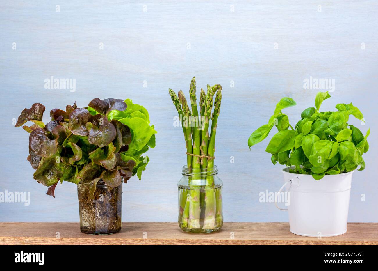 Stoccaggio di cibo fresco per ridurre gli sprechi, asparagi e insalata immagazzinati in vasi di vetro riciclato di acqua conservarli più a lungo, erbe coltivate in pentole. Buon cibo st Foto Stock