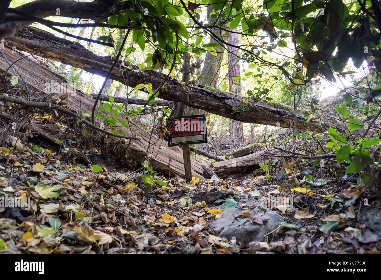Segnaletica di proprietà privata nella foresta di Tacoma, Washington. Foto Stock