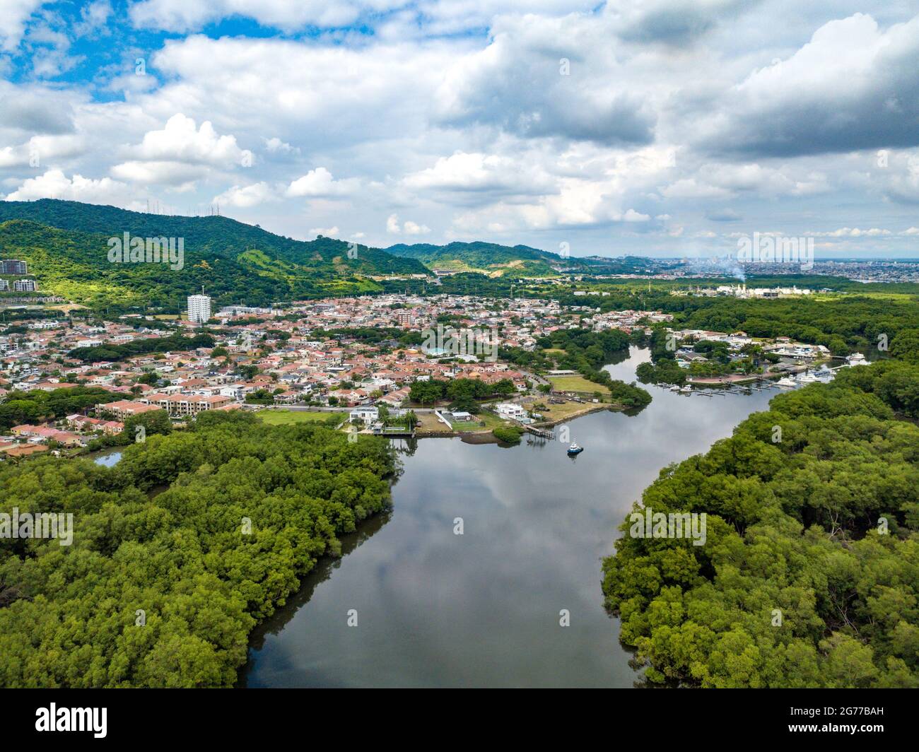 Veduta aerea del drone di alberi di mangrovie ad alta densità nel golfo di Guayaquil, Ecuador che vola e guarda verso alcune comunità e case recintate. Foto Stock