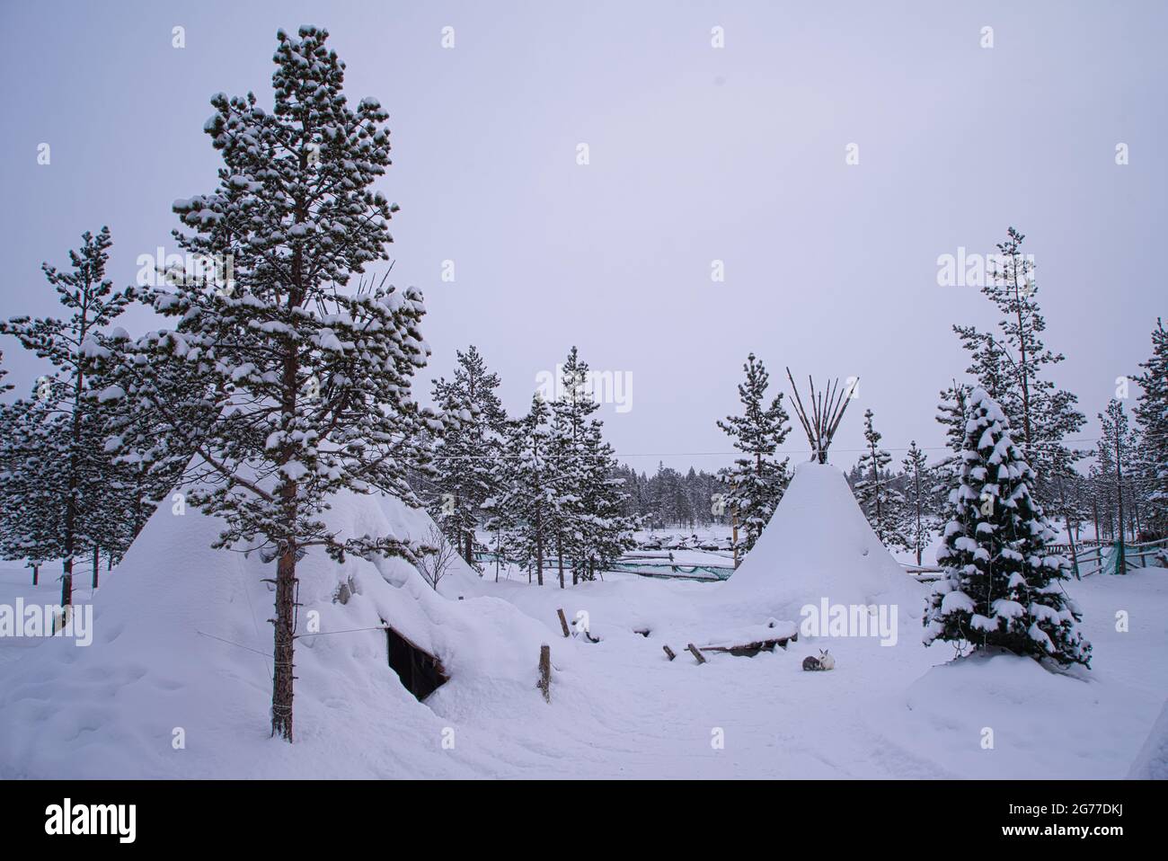 Tende tradizionali in pelle di renna (yurts lappish) nel villaggio di Sami. Le tende e gli alberi sono coperti di neve. Murmansk, Russia. marzo 2017. Foto Stock