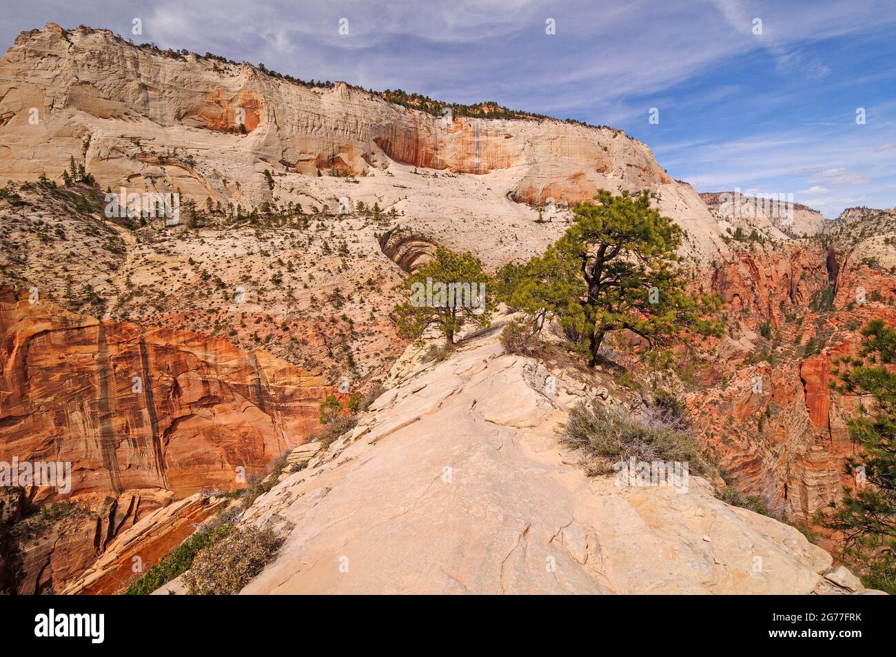 Vista su White Rock da un White Rock Perch su Angels Landing nello Zion National Park nello Utah Foto Stock
