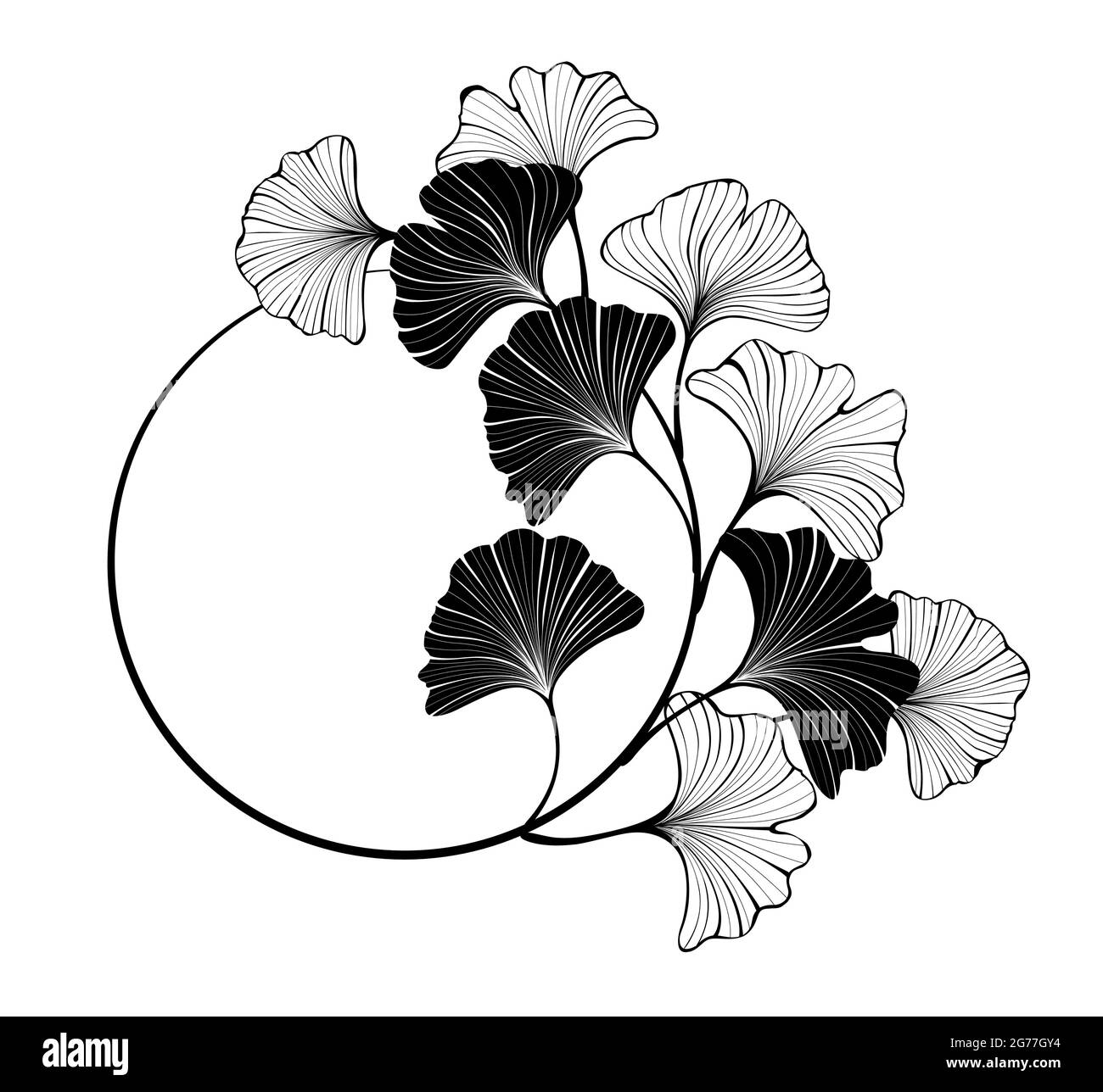 Contorno, banner rotondo con silhouette e foglie di ginkgo biloba su sfondo bianco. Illustrazione Vettoriale