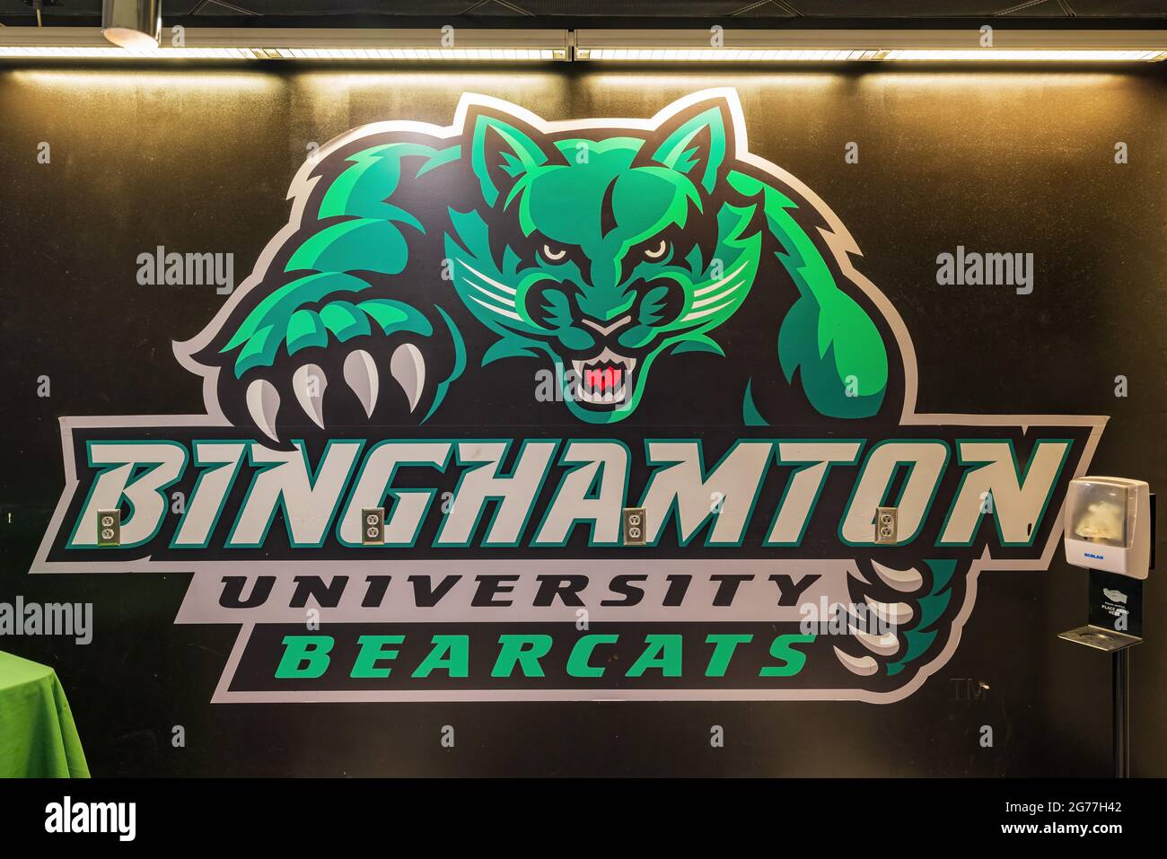New York, 5 LUGLIO 2021 - Bearcats figura della Binghamton University Foto Stock