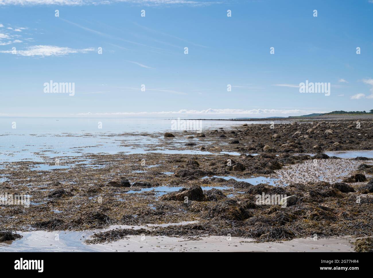 Mare calmo a bassa marea nella baia di Drumantrae, Rhins of Galloway, Scozia Foto Stock