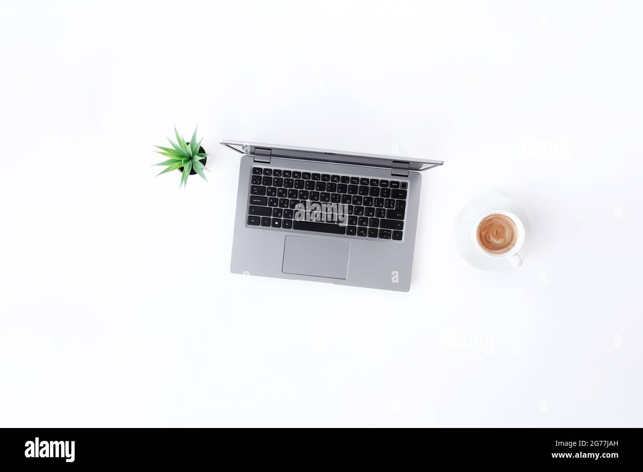 Vista dall'alto su un notebook grigio sottile isolato, una tazza bianca di caffè espresso, una pentola verde con piante di casa su sfondo bianco. Qual alta Foto Stock
