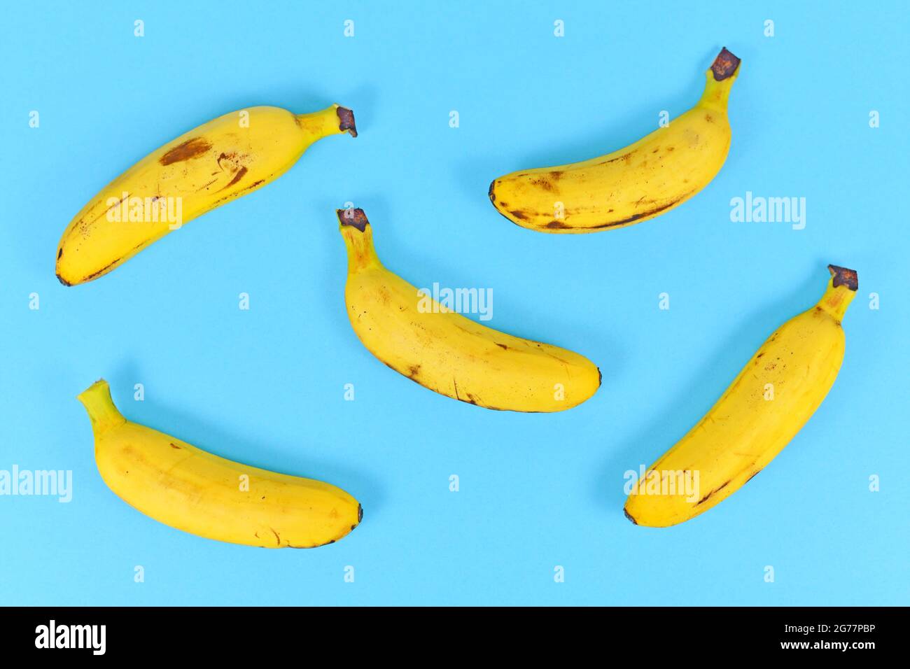 Mazzo di piccole banane snack su sfondo blu brigante Foto Stock