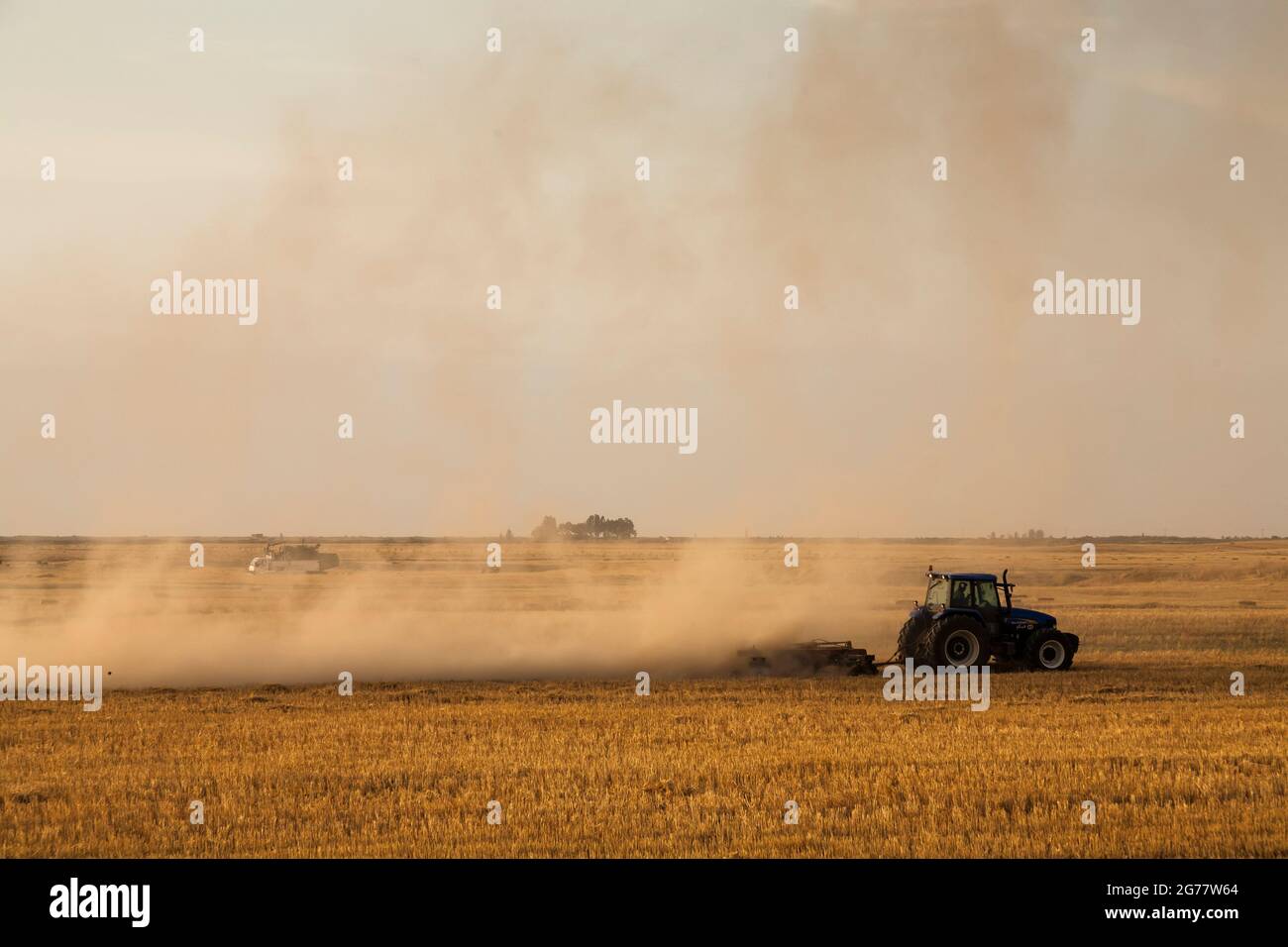 Trattore che lavora in campo di grano al tramonto, sobborgo di Gorgan, Provincia di Golestan, Iran, Persia, Asia occidentale, Asia Foto Stock