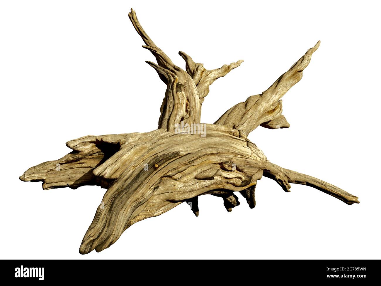 driftwood, legno invecchiato isolato su sfondo bianco Foto Stock