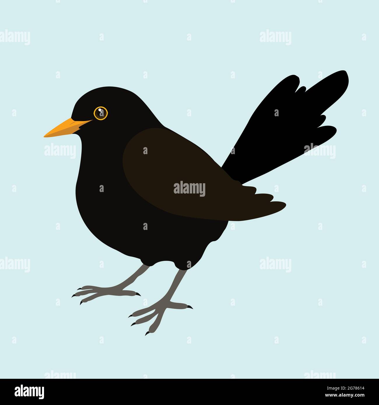 Un'illustrazione di un uccello nero. È un uccello maschile e lo sfondo è blu pallido. L'uccello è tagliato fuori. Illustrazione Vettoriale