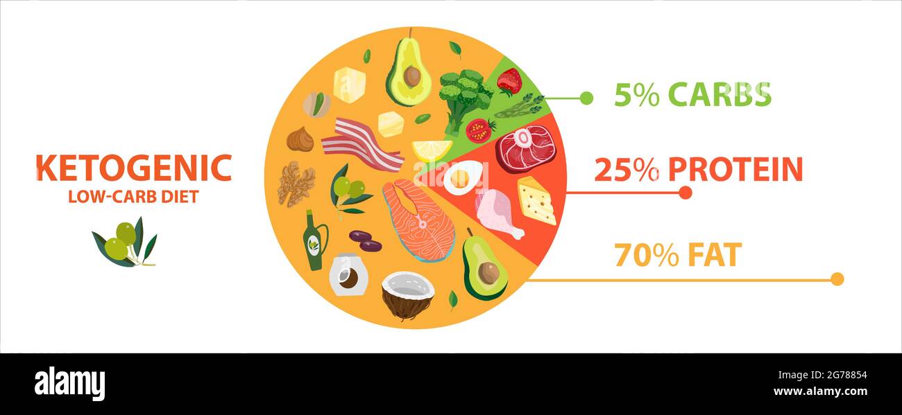 Diagramma circolare del keto dietetico degli alimenti. Ketogenic info grafico torta di nutrizione sana. Banner di illustrazione vettoriale con basso carb dieta macro base infor Illustrazione Vettoriale