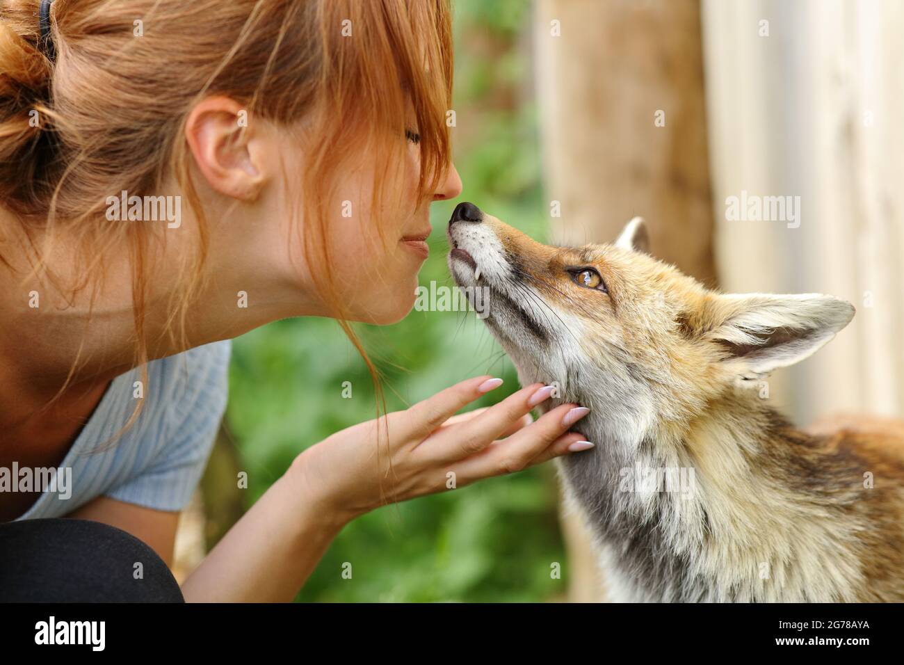 Donna felice che ama gli animali baciando una volpe in una fattoria Foto Stock