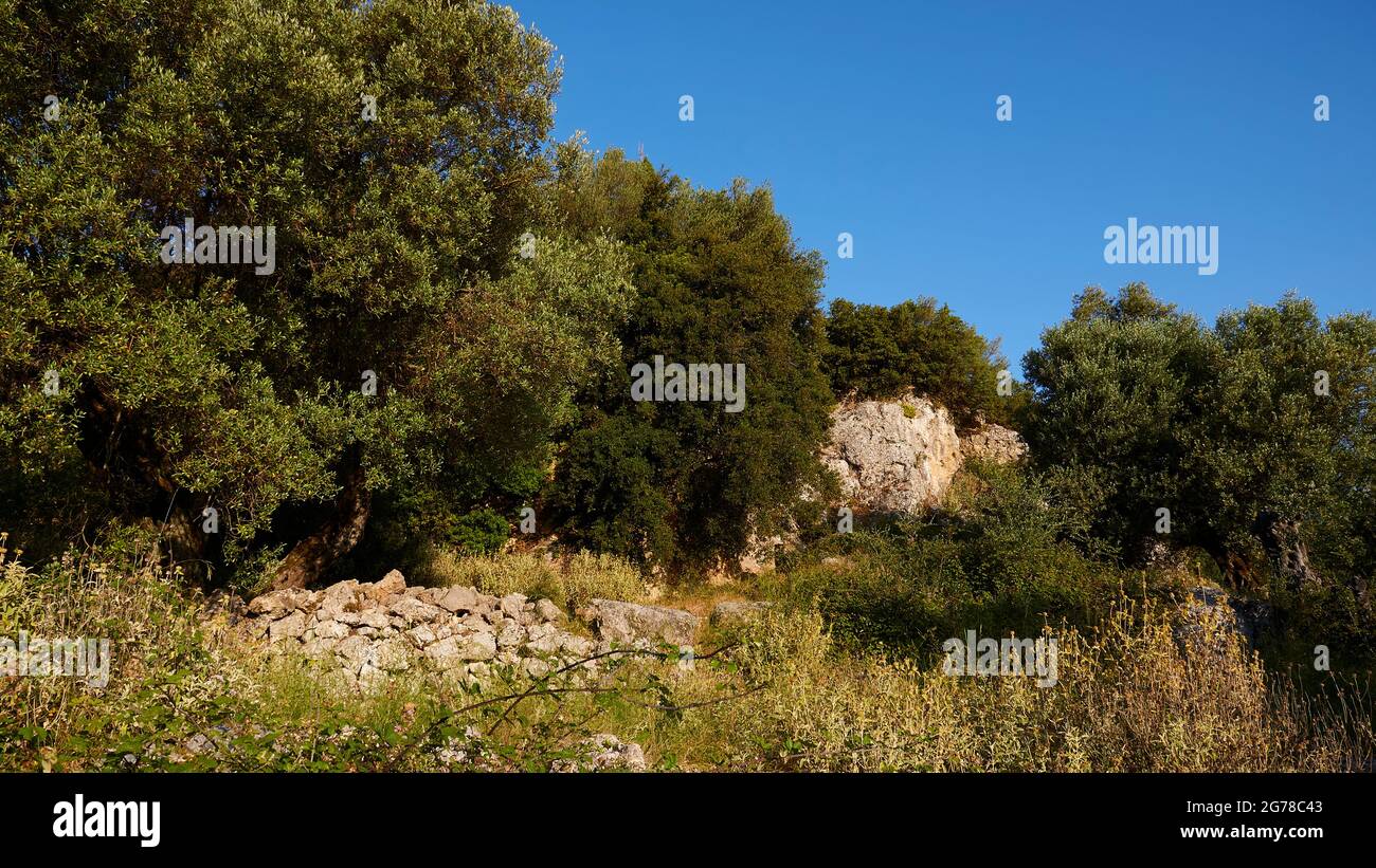 Isole IONIE, Ithaca, Scuola di Omero, Schules des Omero, possibile palazzo di Odysseus, rovine, edifici, muri in pietra Foto Stock