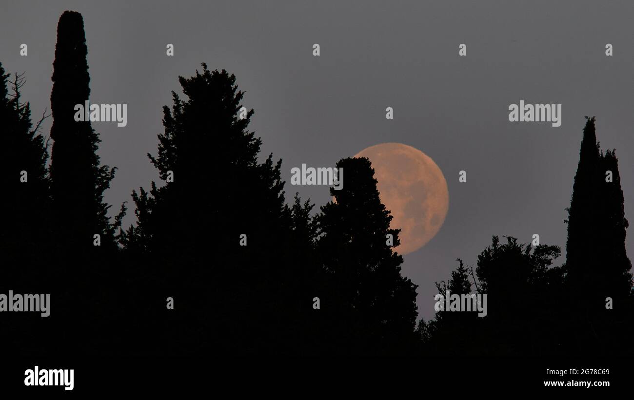 Isole IONIE, Ithaca, isola di Odysseus, luna piena, fregio, luna piena alta dietro gli alberi Foto Stock