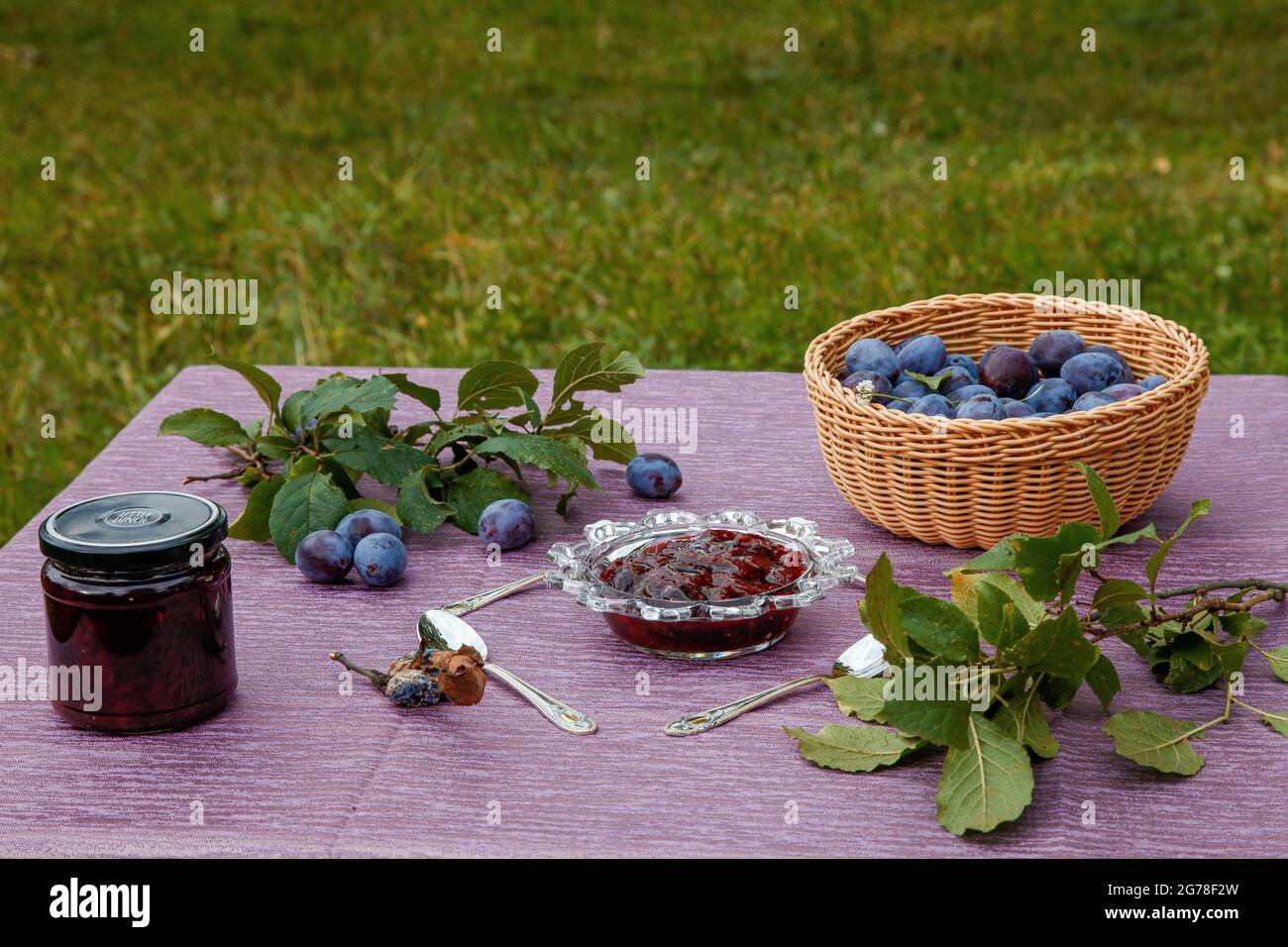 Confettura di prugne, prugne, giardino organico, Foto Stock