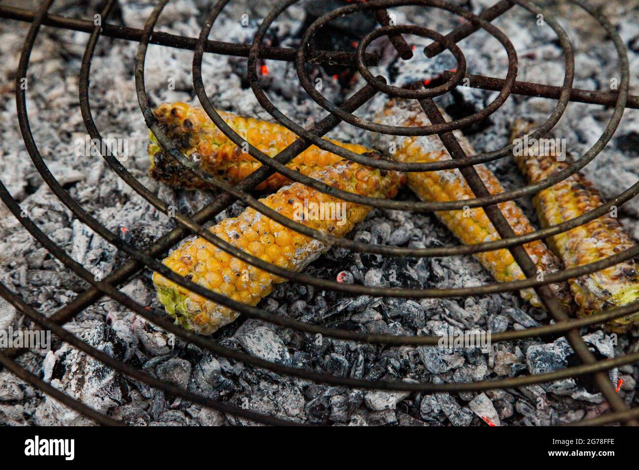Mais sulla pannocchia, alla griglia, barbecue, estate, barbecue, giardino Foto Stock