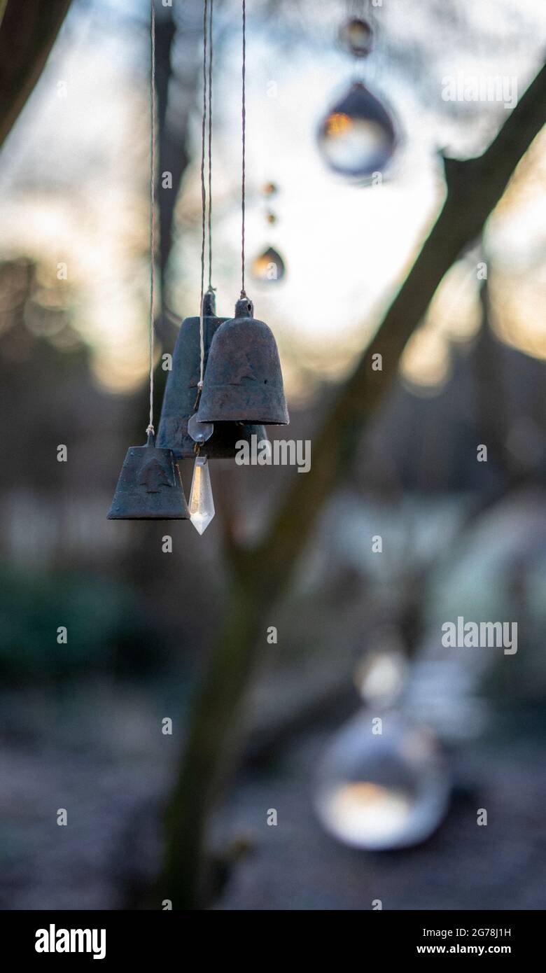 Mattina invernale nel mio giardino Foto Stock