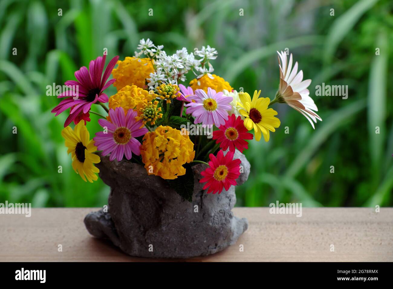 Bella vaso di fiori colorati con varietà margherita fioritura su legno cornice finestra di casa per l'arredamento in primavera Foto Stock