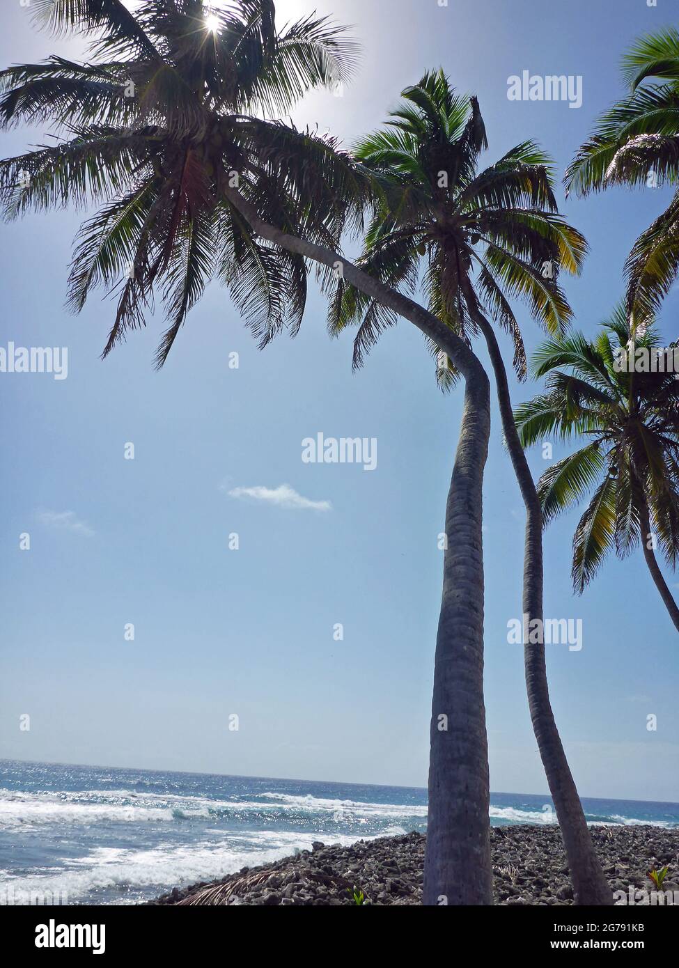 Monumento naturale Half Moon Caye, Belize, America Centrale Foto Stock