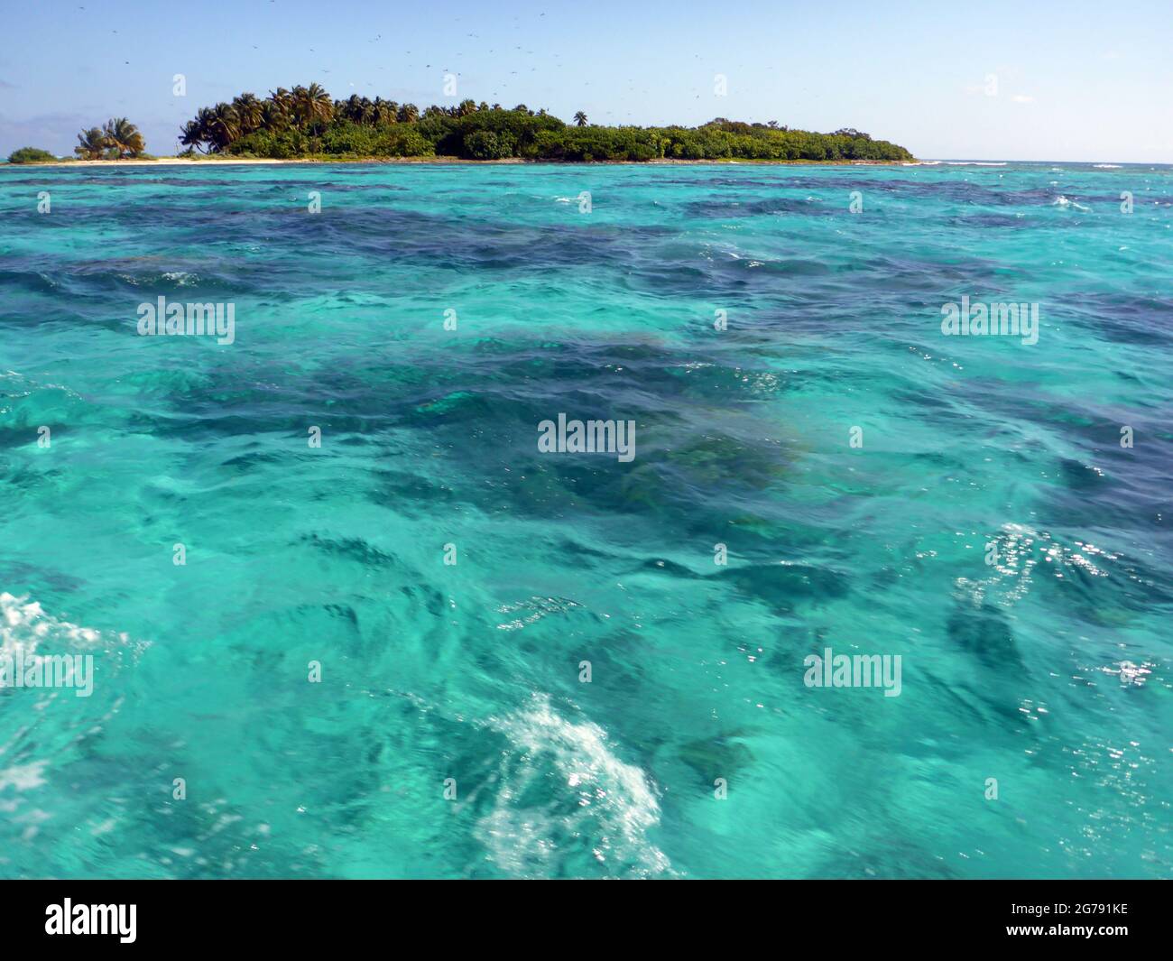 Monumento naturale Half Moon Caye, Belize, America Centrale Foto Stock