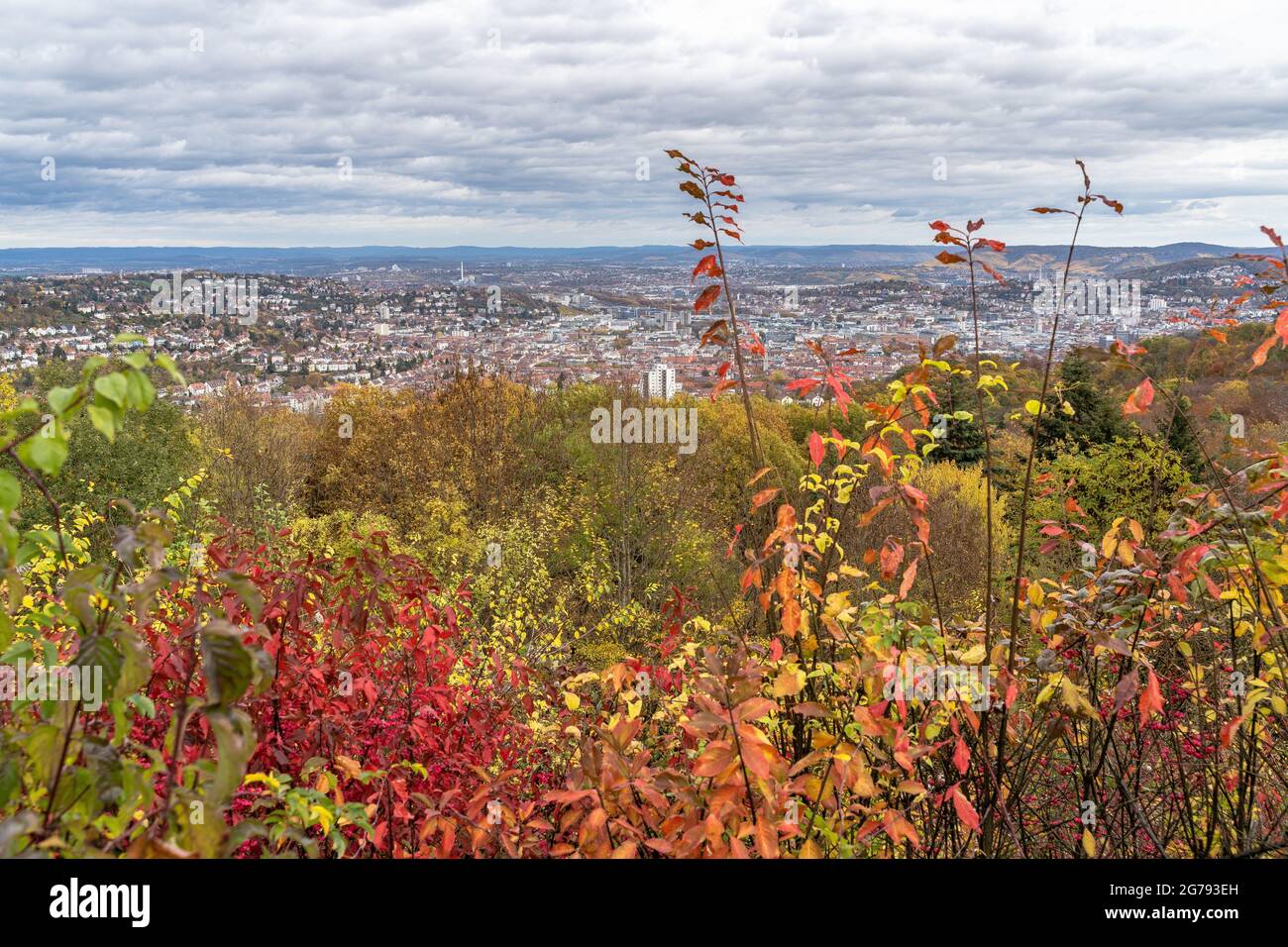 Europa, Germania, Germania meridionale, Baden-Wuerttemberg, Stoccarda, Birkenkopf, vista autunnale dal Birkenkopf al centro di Stoccarda Foto Stock