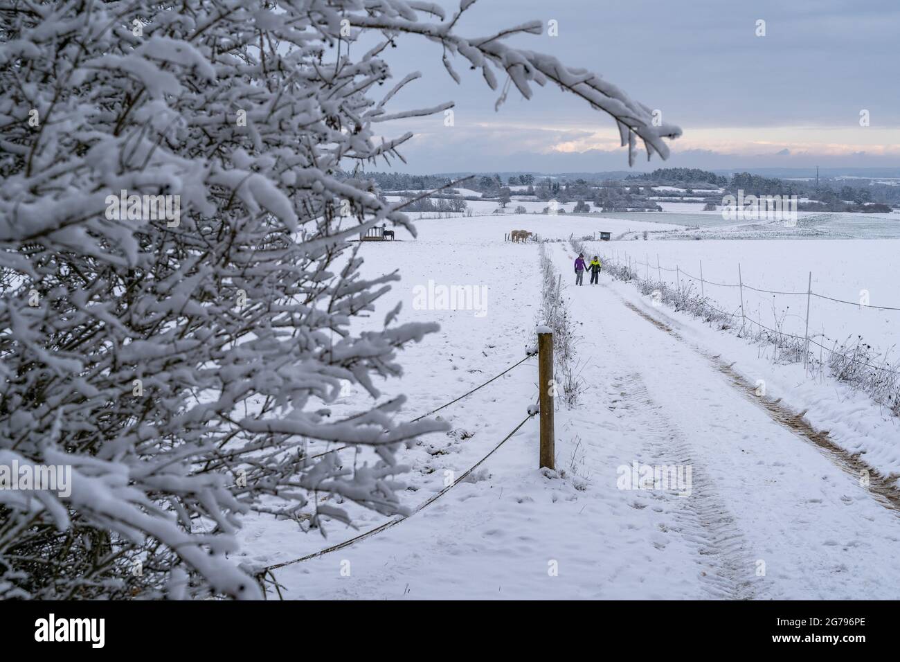 Europa, Germania, Baden-Wuerttemberg, Heckengäu, Aidlingen, Madre e figlio su un sentiero innevato a Heckengäu Foto Stock