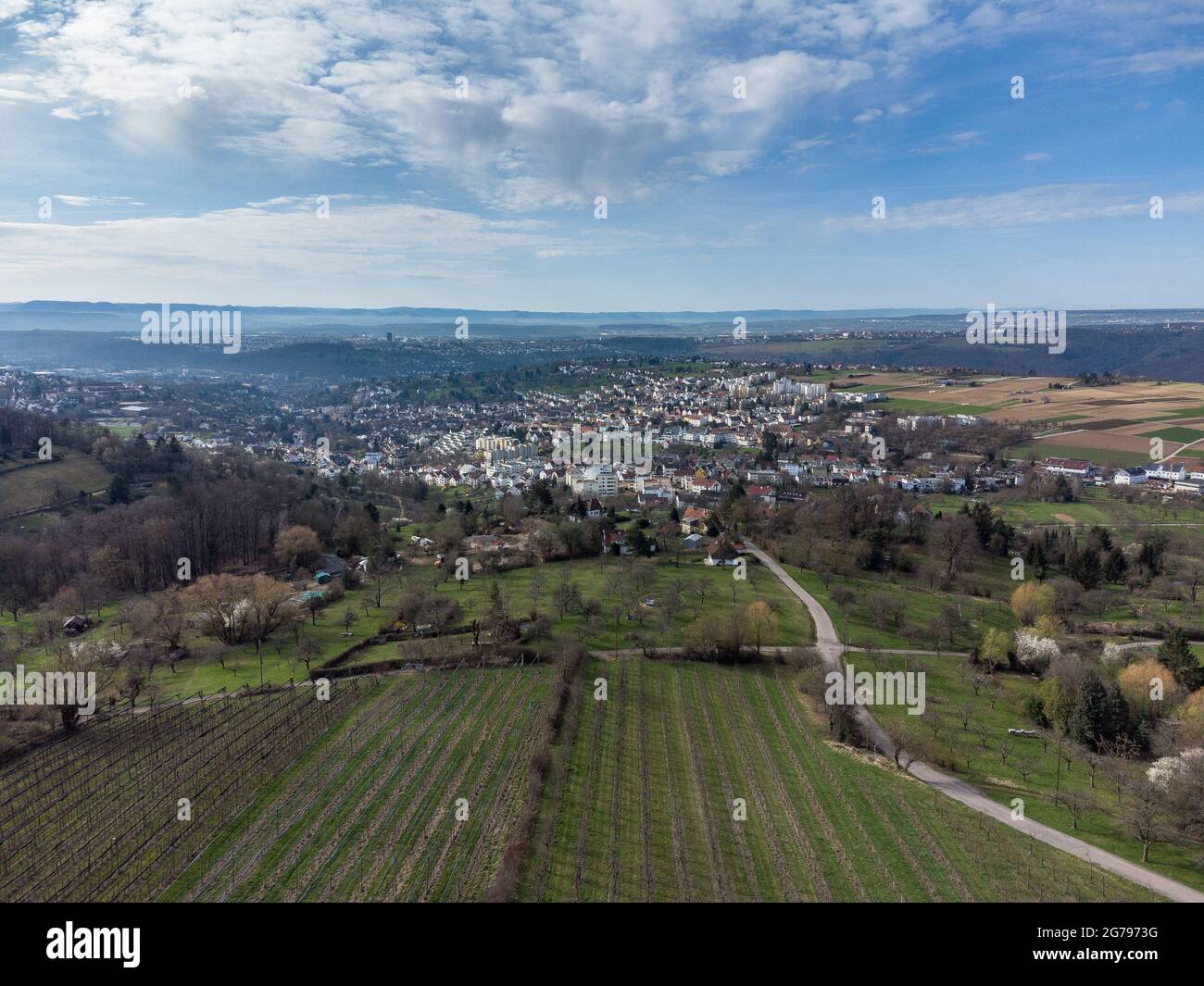 Europa, Germania, Baden-Wuerttemberg, Esslingen, Esslingen zona di protezione del paesaggio, vista dal Katharinenlinde sui campi e le case Foto Stock