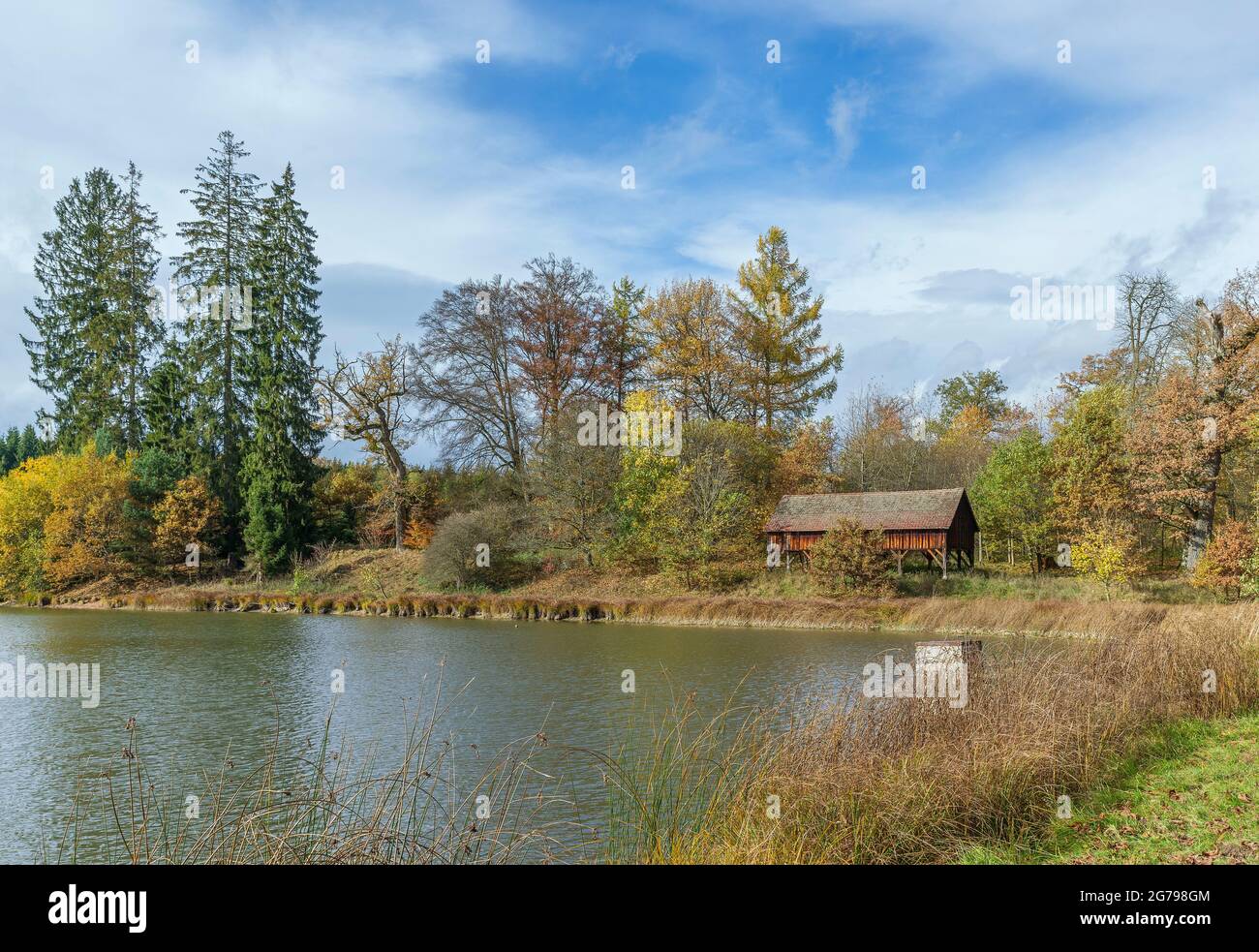 Germania, Baden-Wrttemberg, Sigmaringen, Ablacher Weiher nella foresta di Josefslust, un terreno di caccia della Casa di Hohenzollern. Il Josefslust Park è aperto al pubblico come area ricreativa locale. Foto Stock