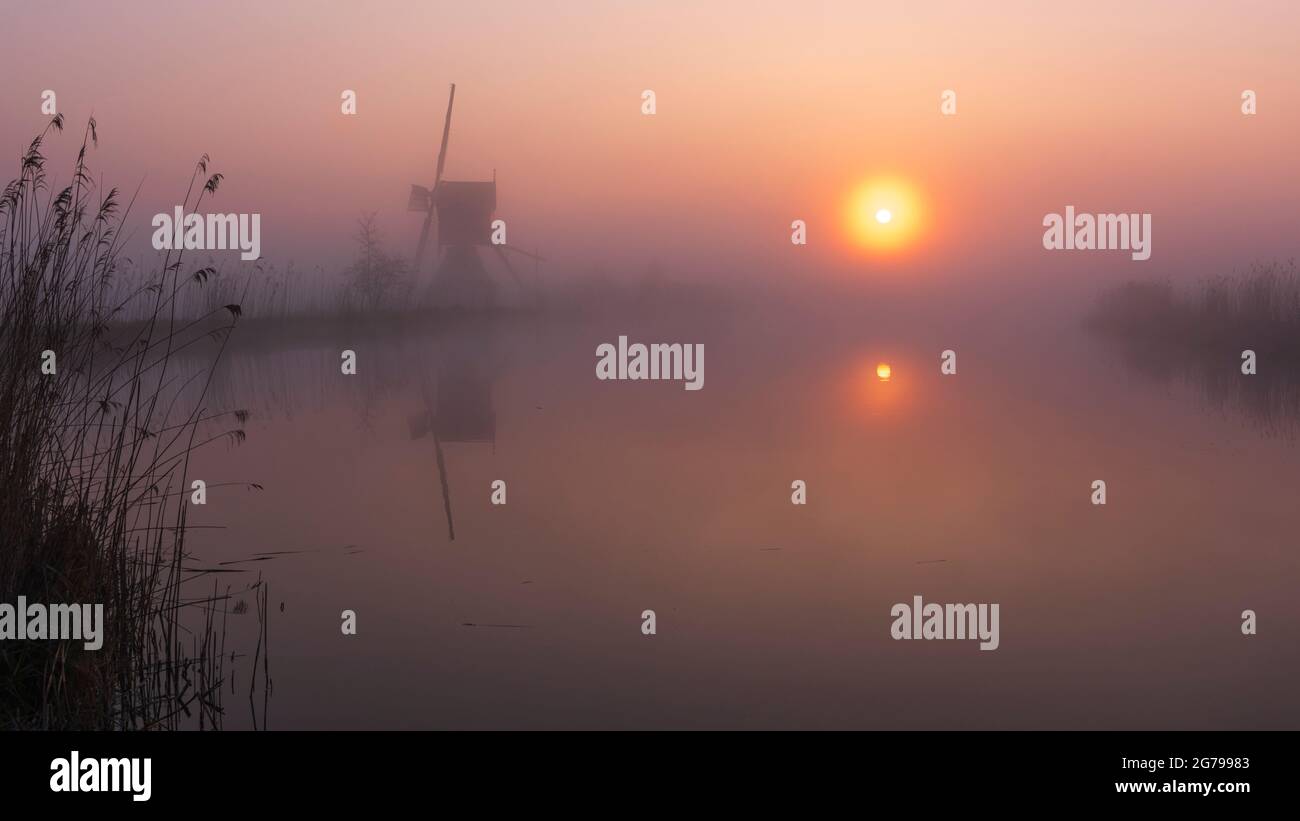 Impressioni di un'escursione primaverile all'alba e alla nebbia in Sud Olanda nella regione di Alblasserwaard Vijfheerenlanden vicino a Kinderdijk: mulino all'alba e alla nebbia. Foto Stock