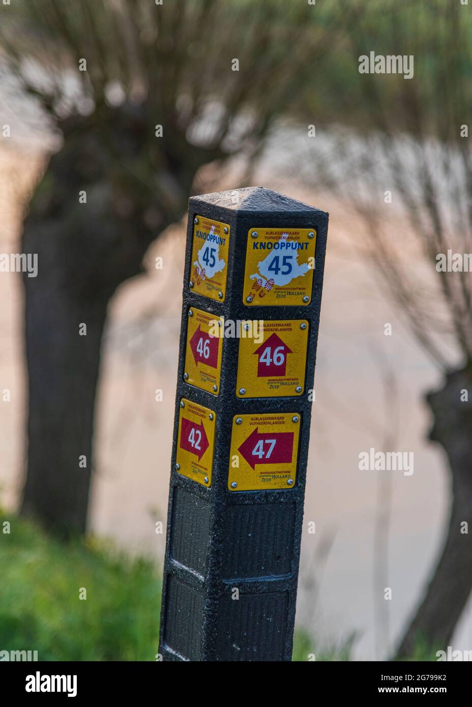 Impressioni di un'escursione primaverile all'alba e alla nebbia in Sud Olanda nella regione di Alblasserwaard Vijfheerenlanden vicino a Kinderdijk: Indicazioni per percorsi escursionistici Foto Stock