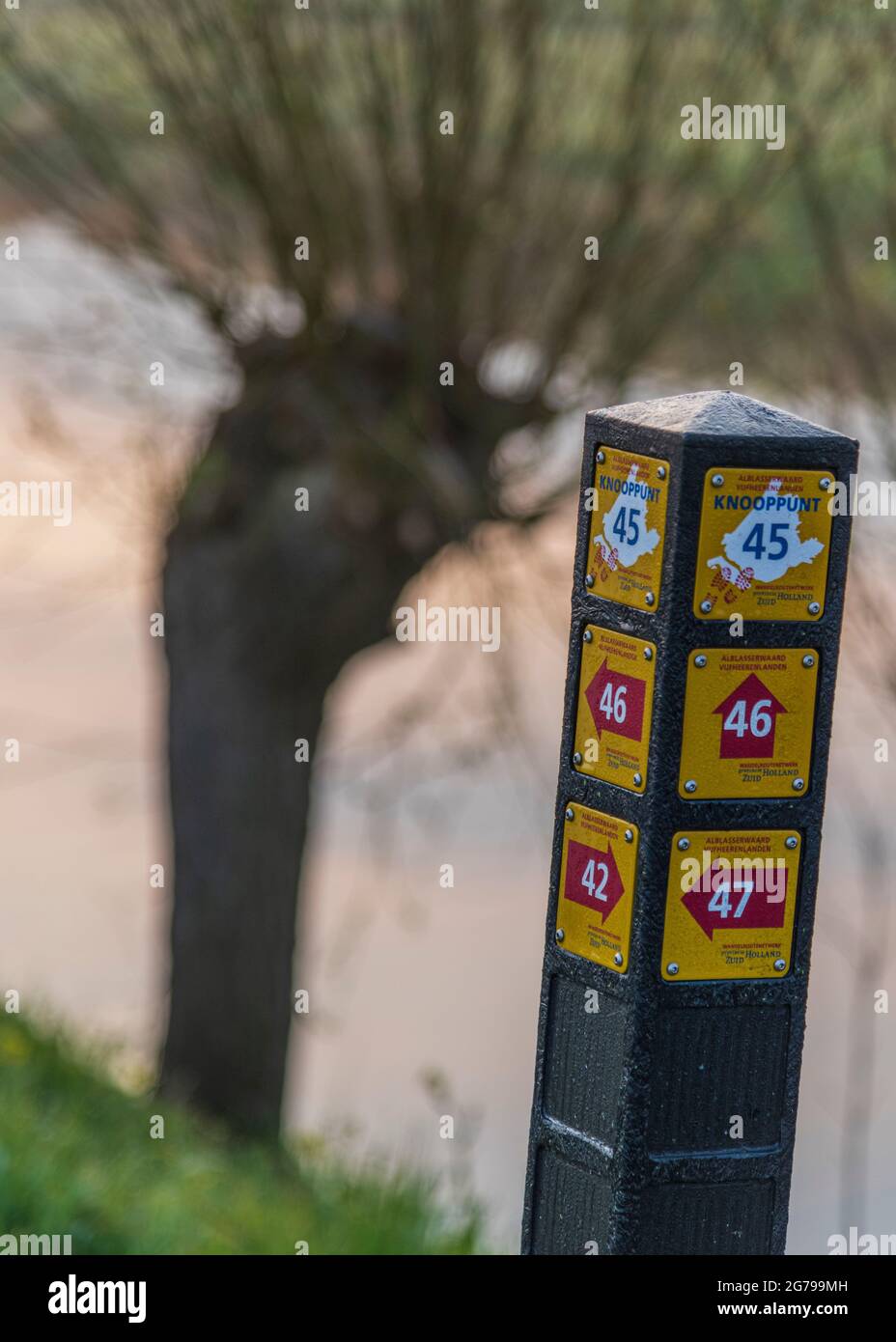 Impressioni di un'escursione primaverile all'alba e alla nebbia in Sud Olanda nella regione di Alblasserwaard Vijfheerenlanden vicino a Kinderdijk: Indicazioni per percorsi escursionistici Foto Stock
