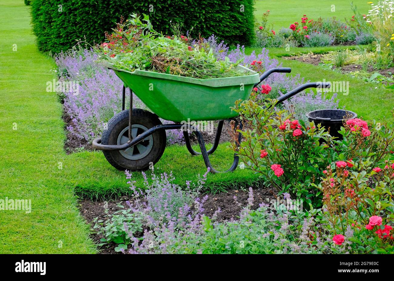 carriola in giardino inglese formale, norfolk, inghilterra Foto Stock