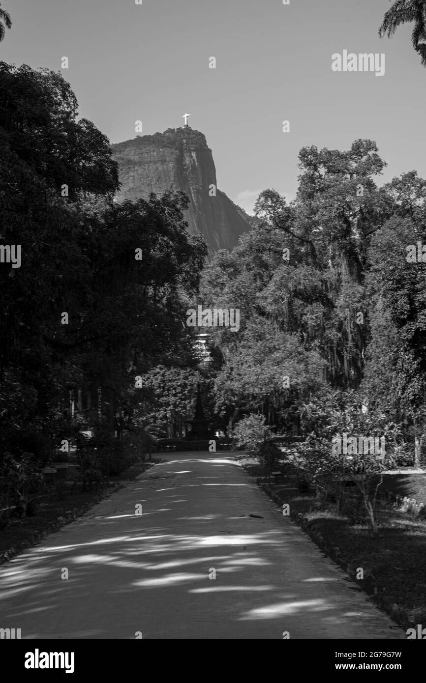 Vista sul Monte Corcovado e sulla statua del Cristo Redentore dal Giardino Botanico di Rio de Janeiro o dal Jardim Botânico, situato nel quartiere Jardim Botânico nella zona meridionale di Rio de Janeiro. L'Orto Botanico mostra la diversità della flora brasiliana e straniera. Foto Stock