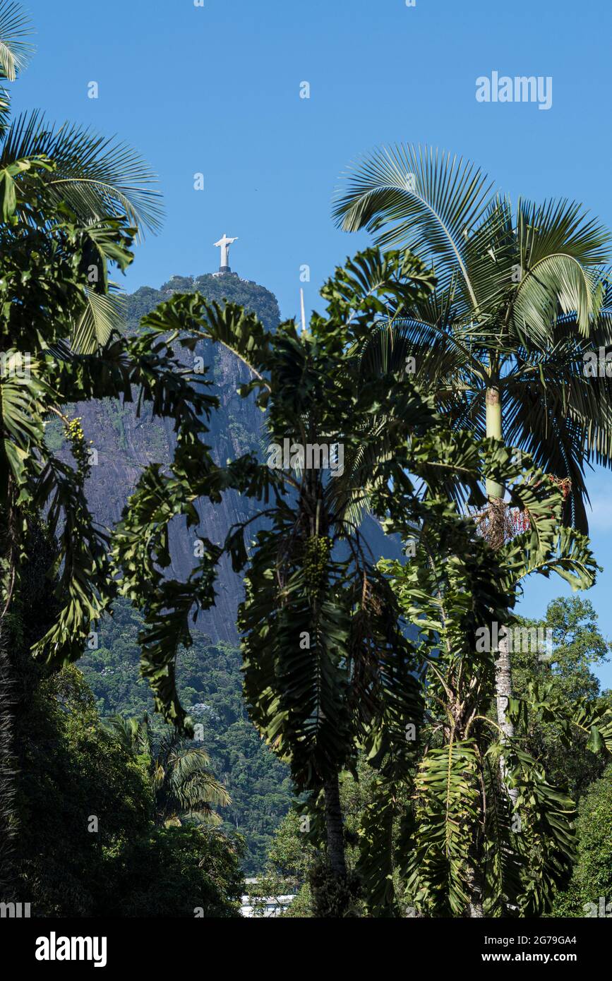 Vista sul Monte Corcovado e sulla statua del Cristo Redentore dal Giardino Botanico di Rio de Janeiro o dal Jardim Botânico, situato nel quartiere Jardim Botânico nella zona meridionale di Rio de Janeiro. L'Orto Botanico mostra la diversità della flora brasiliana e straniera. Foto Stock