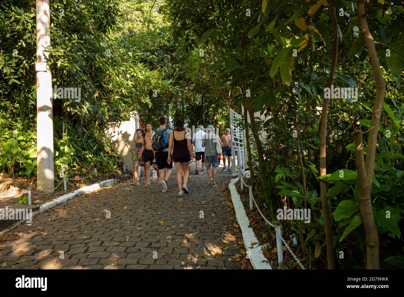 Una passeggiata da Praia Vermelha (Spiaggia Rossa), le acque oceaniche e le montagne circostanti, attraverso gli alberi del sentiero del Pan di zucchero, situato a Rio De Janeiro, Brasile. Foto Stock