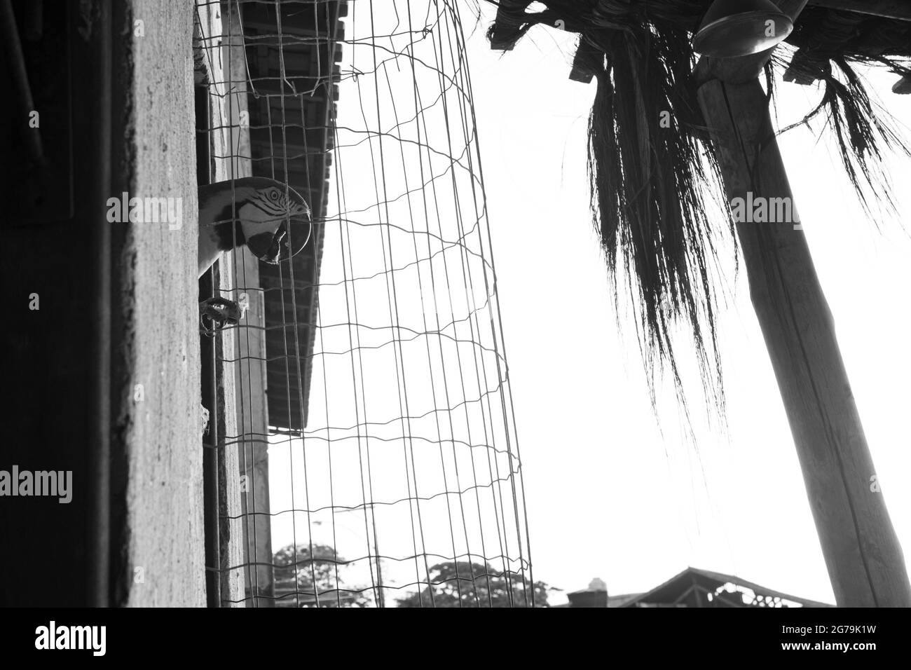 Godetevi il meraviglioso tramonto a Prainha da barra de Guaratiba dal Marambaia Roof Top Cafe rio Foto Stock