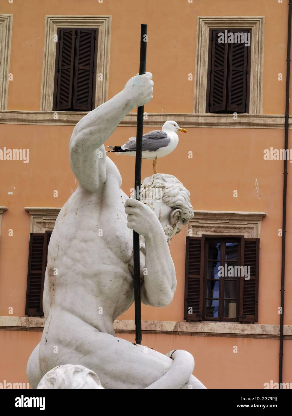 Un piccione si trova ancora sulla testa di una statua marmorea di una fontana in Piazza Navona, nel centro di Roma. Foto Stock